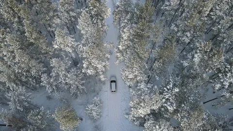 White car in snowy forest from above Stock Footage 146958147