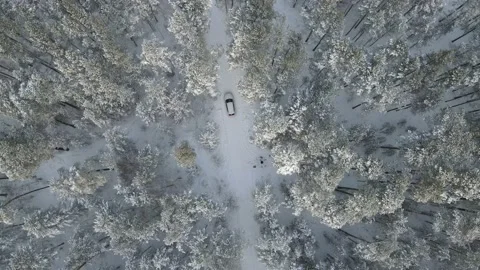White car in snowy forest from above Stock Footage 146958199