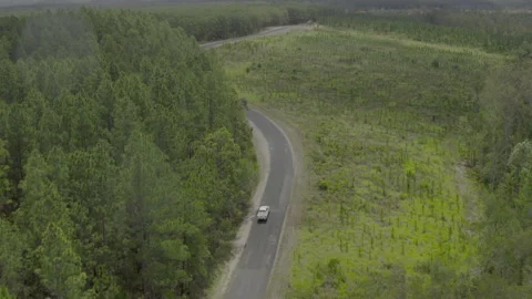 White Car Traverses Winding Forest Road from Above 4K HDR Stock Footage 310481168