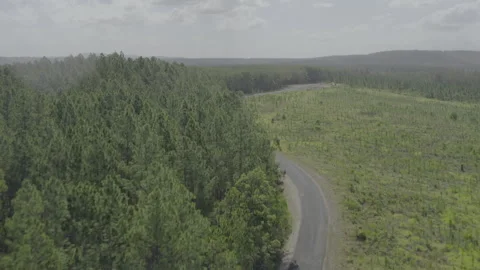 White Car Traverses Winding Forest Road from Above 4K HDR Stock Footage 310482003