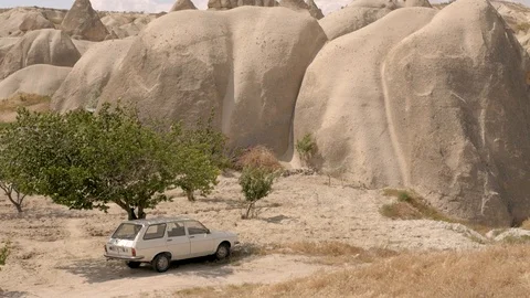 White car under a green tree Video stock 90373398