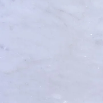 White carara 库存照片