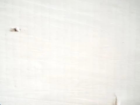 White cardboard covered with plastic wrap Foto stock