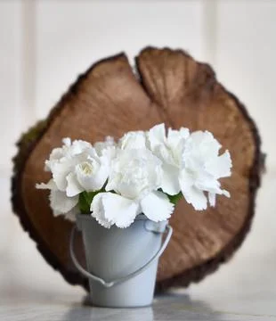 White Carnation Flowers in Rustic Vase Still Life Stock Photos