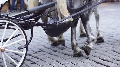 White carriage with Stock Footage 75158384