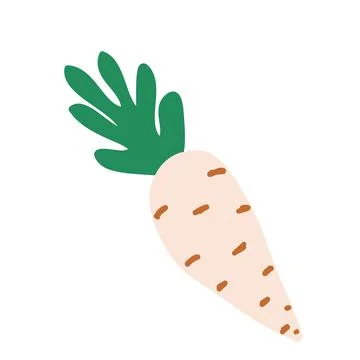 White carrot doodle style vector element. handdraw illustration Stock Illustration