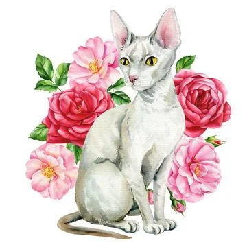 White cat and branches with spring flowers of roses, isolated white background Stock Illustration