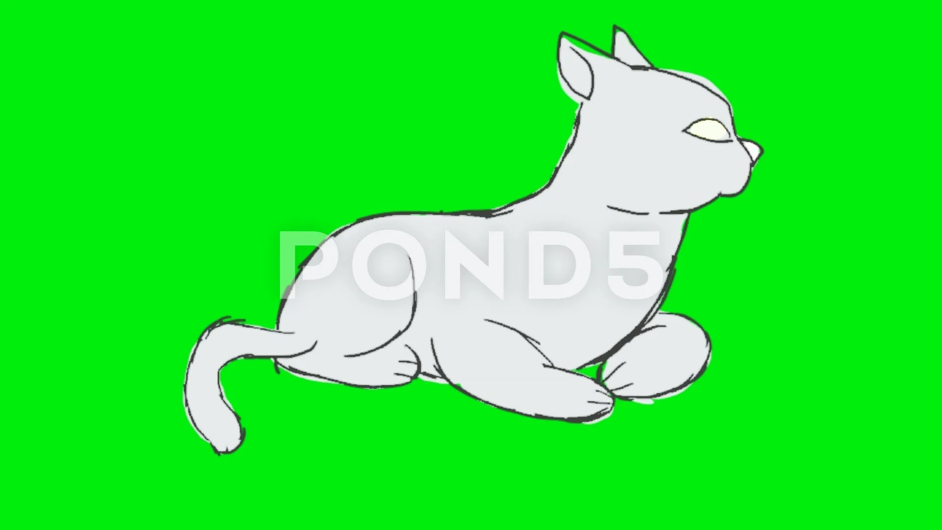 White Cat - Animation - Hand-Drawn - Gre... | Stock Video | Pond5