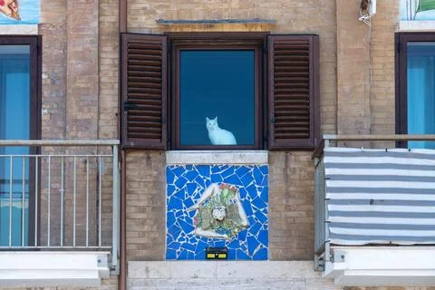White cat behind window of brick facade in Syracuse Foto stock