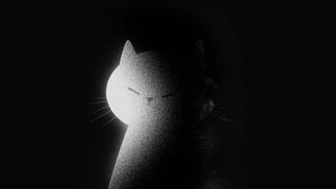 White cat in the dark Video stock 304416025