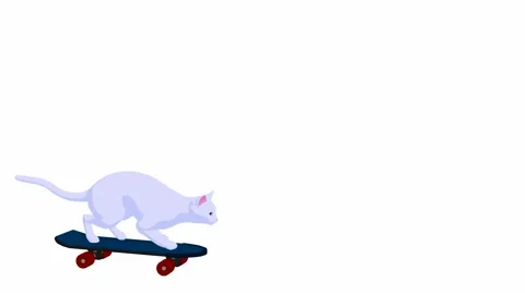 White cat Stock Footage 979598