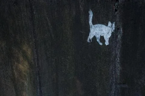 White cat painted on the dark wall Stock Photos