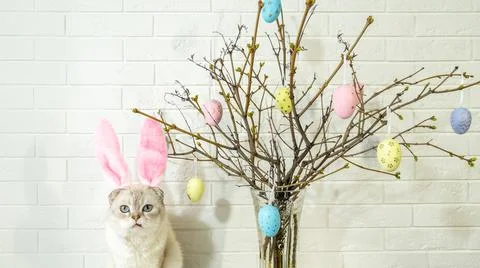 A white cat with rabbit ears. Easter tree in a vase with colorful eggs on a Фото