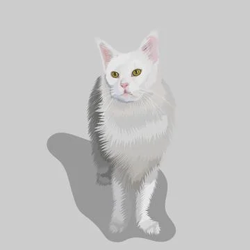 White cat realistic hand drawn vector and illustrations white backgrounds Stock Illustration