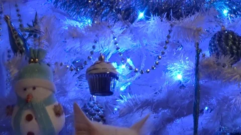 White cat resting under the tree Stock Footage 82596341