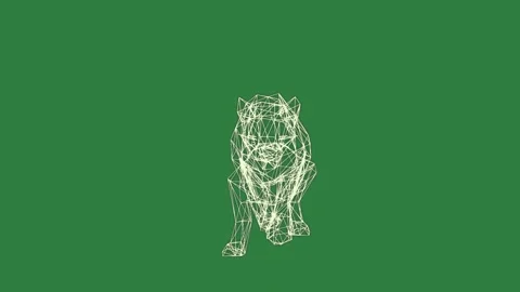 A white cat running on green background and bull with outline of tiger panther Stock Footage 337335569