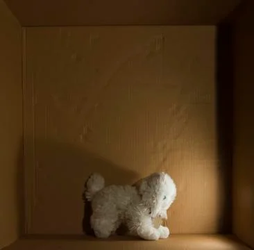 White cat toy Stock Photos