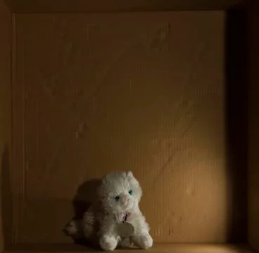 White cat toy Stock Photos