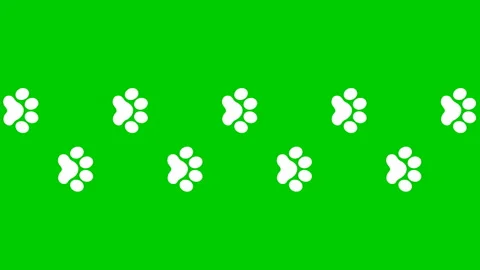 White cat tracks green Stock Footage 221642435
