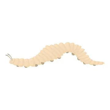 White caterpillar crawling on white background Stock Illustration
