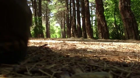 White caucasian man walking in the forest alone Video stock 138494584