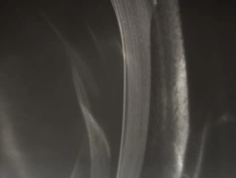 White Caustic Trails On Black Stock-Fotos