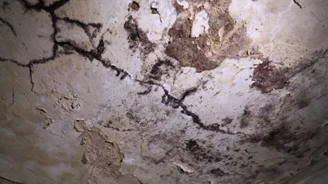 The white ceiling in the interior of the room is covered with cracks and mold. Stock-Footage 284671189
