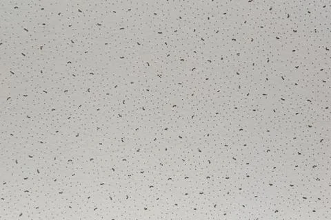 White ceiling tile texture Stock-Fotos