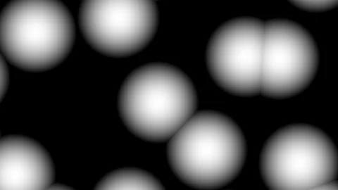 White cell motion Stock Footage 95583530