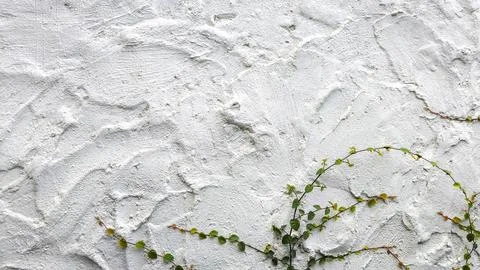 White cement wall with bricks and ivy Stock Photos