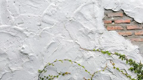White cement wall with bricks and ivy Stock Photos