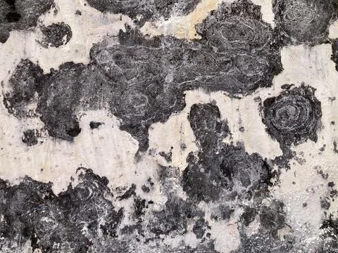 White cement wall texture with expressive black stains Stock Photos