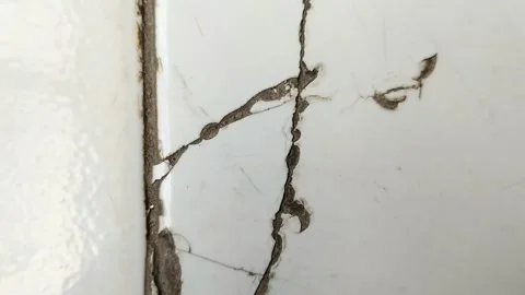White ceramic floor tiles broken 動画素材 308770758