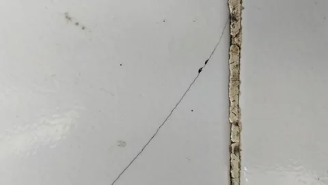 White ceramic floor tiles broken 스톡 동영상 308771083