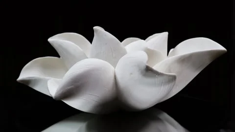 White ceramic flower rotating on an automatic display stand Stock Footage 263043821