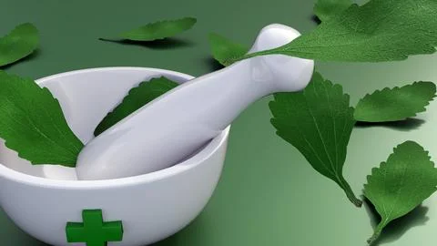 A white ceramic mortar with several green, leaves Stock Illustration
