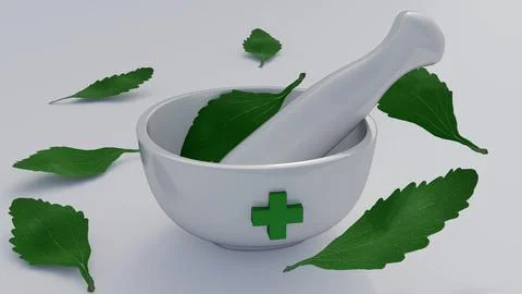 A white ceramic mortar with several green, leaves Stock Illustration