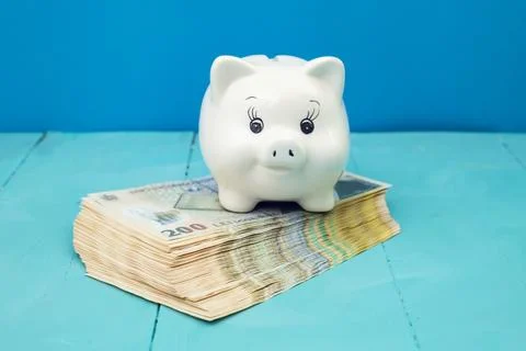 White ceramic piggybank standing on a stack of romanian currency Stock Photos