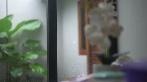A white ceramic vase filled with vibrant flowers Video stock 300427142