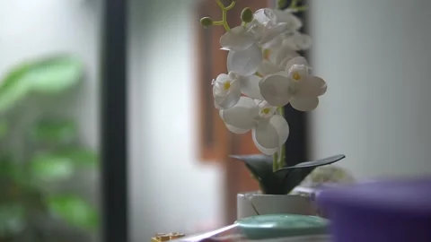 A white ceramic vase filled with vibrant flowers Stock Footage 300427147