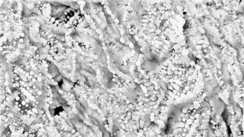 White chains of DNA are mixed. acceleration of life. timelapse.seamless loop. Stock Footage 81261124