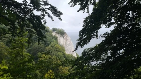 White Chalk Cliff Glimpsed Through Beech Branches on Ruegen 動画素材 346411518