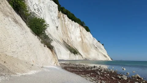 White chalk cliffs and beach at Mons Klint (Mons Klint), Denmark Stock Footage 340958164
