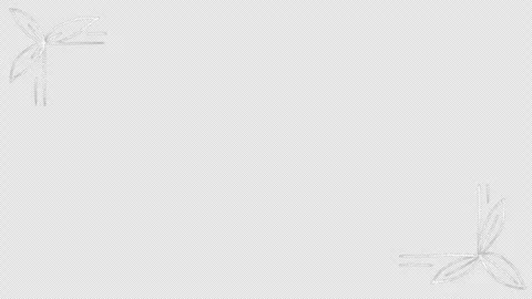 White chalk frame animation, transparent background Stock-Footage 334337175