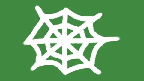 White chalk spider web outline hand-drawn isolated on green screen chalkboard Stock Footage 335761155