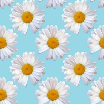 White chamomile daisy seamless pattern natural background Foto stock