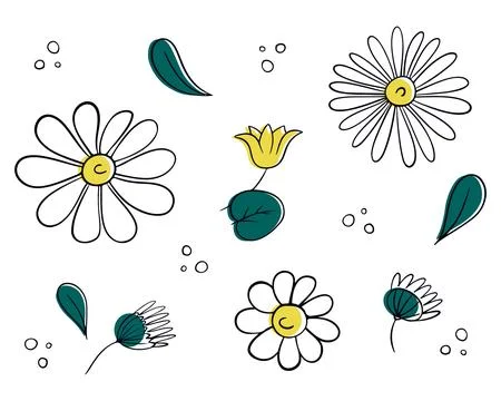 White chamomile in doodle style. Collection of cute daisies Stock Illustration