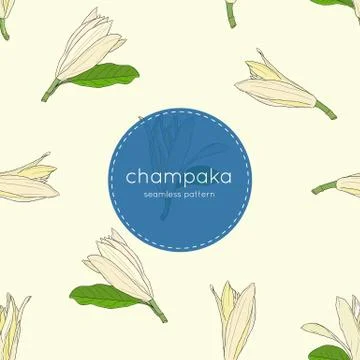 White Champaka seamless pattern vector Stock Illustration