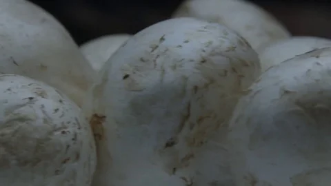 White Champignon mushrooms Stock Footage 78865744
