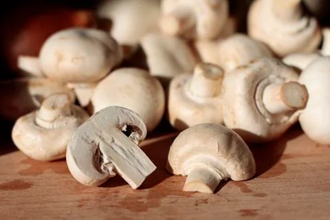 White champignons Stock Photos
